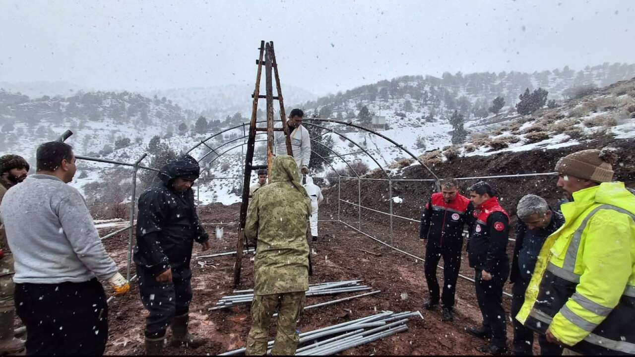 Konya’da ahır çöktü! Çok sayıda hayvan telef oldu 11